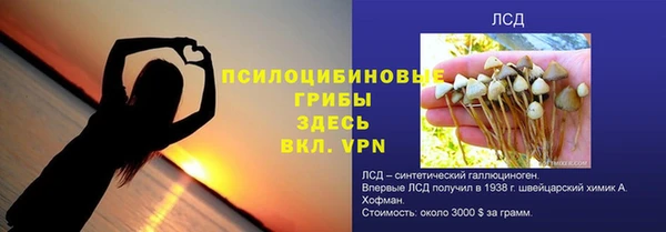 сатива Семилуки