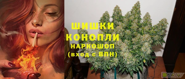 ПСИЛОЦИБИНОВЫЕ ГРИБЫ Снежногорск