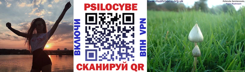 Купить закладки  Северо-Курильск  Псилоцибиновые грибы ЛСД 